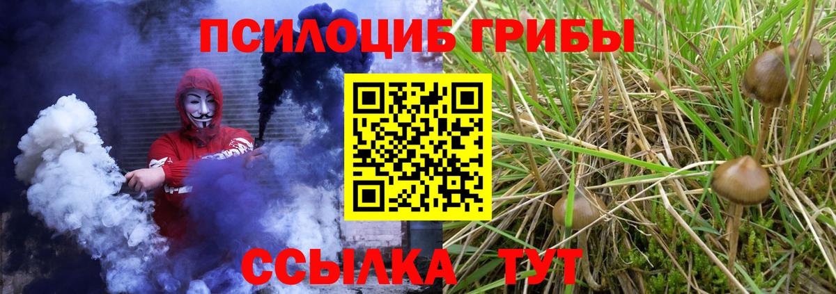 Псилоцибиновые грибы MAGIC MUSHROOMS  Псилоцибиновые грибы Psilocybe  Большой Камень  Вход с VPN 
